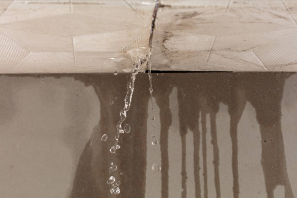 Professional Structural Drying technician working in Stanton, TX